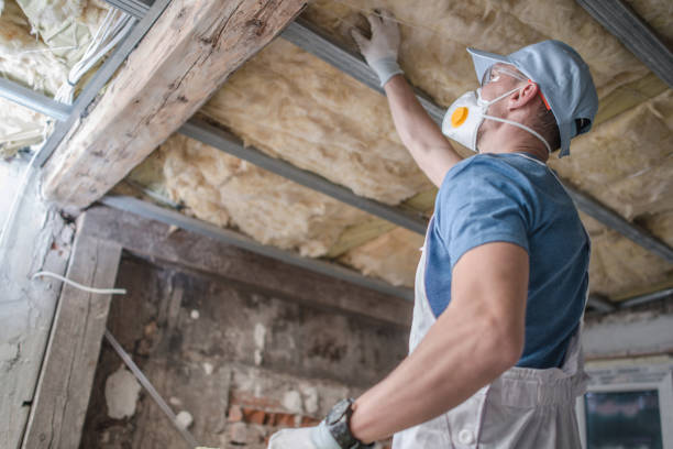 Best Insulation Removal Services  in Faxon, PA